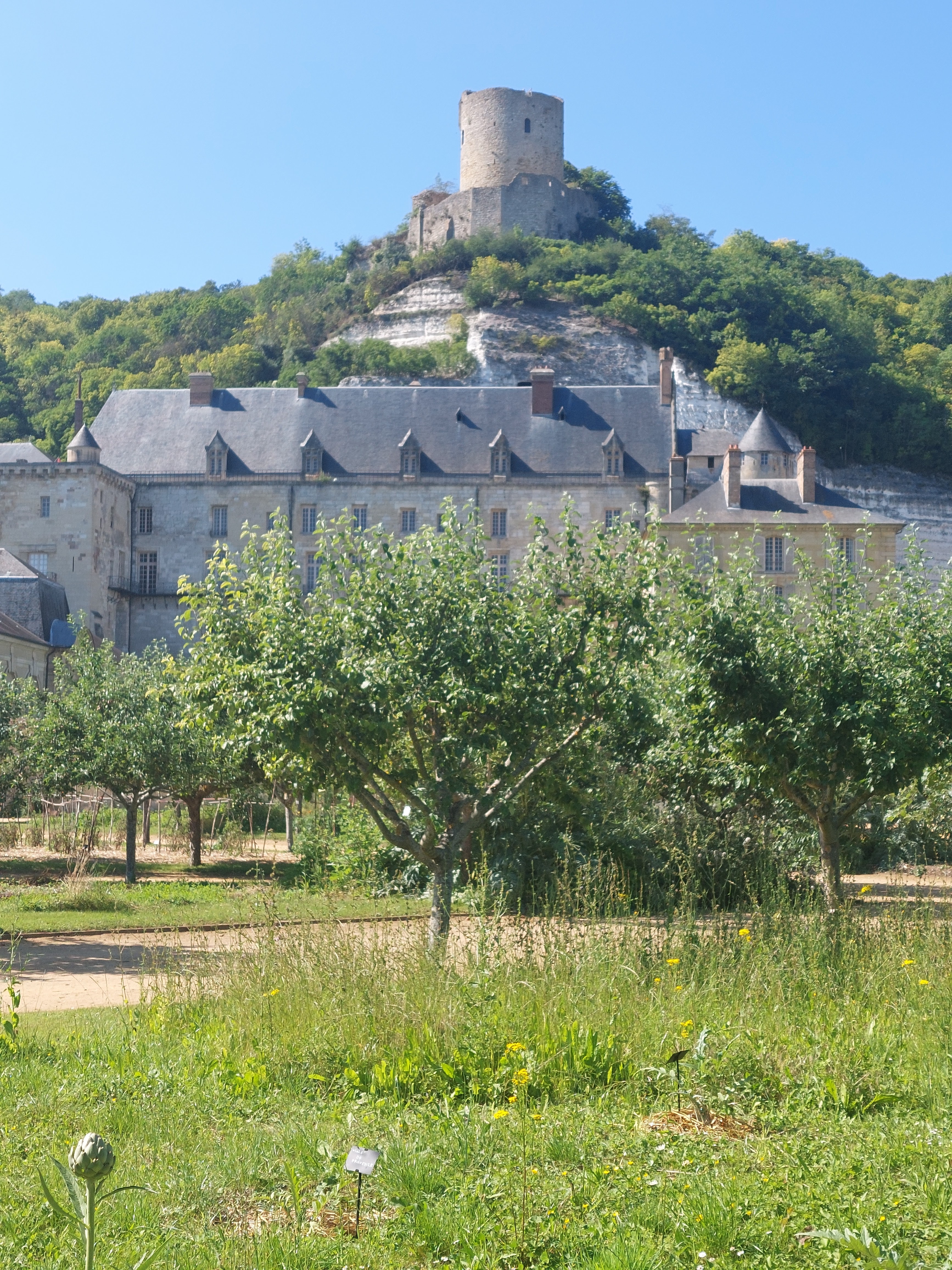 Photo n° 3 de l'avis de Gaetan.i fait le 20/07/2021 à 08:41
