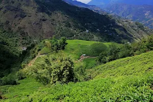 Everest Tea Garden image