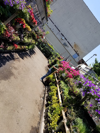 Produce Market «Hudson Farmers Market», reviews and photos, 3437 John F. Kennedy Blvd, Jersey City, NJ 07307, USA