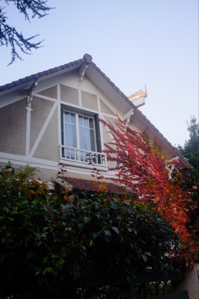 Photo n° 2 de l'avis de Inés. fait le 17/11/2022 à 21:36