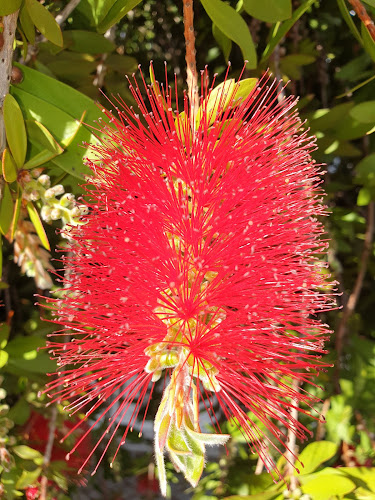 Opinii despre Associação de Amigos de Vila Fernando în Guarda - Associação