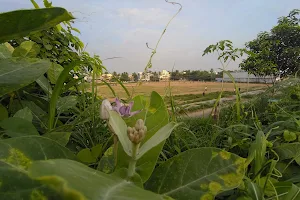 Jerusalem Nagar Park image