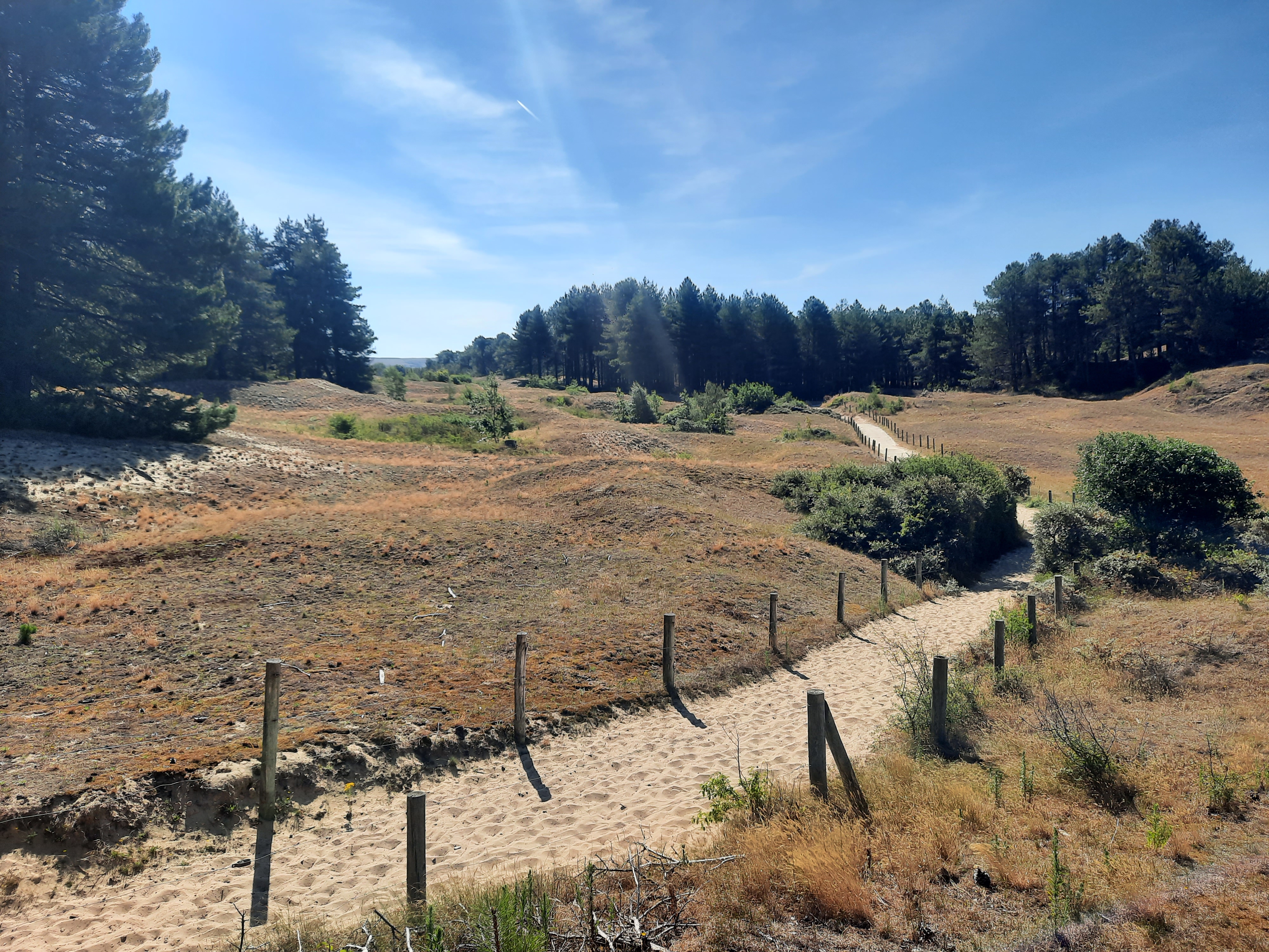 Photo n° 2 de l'avis de Stéphanie.u fait le 10/08/2022 à 12:02