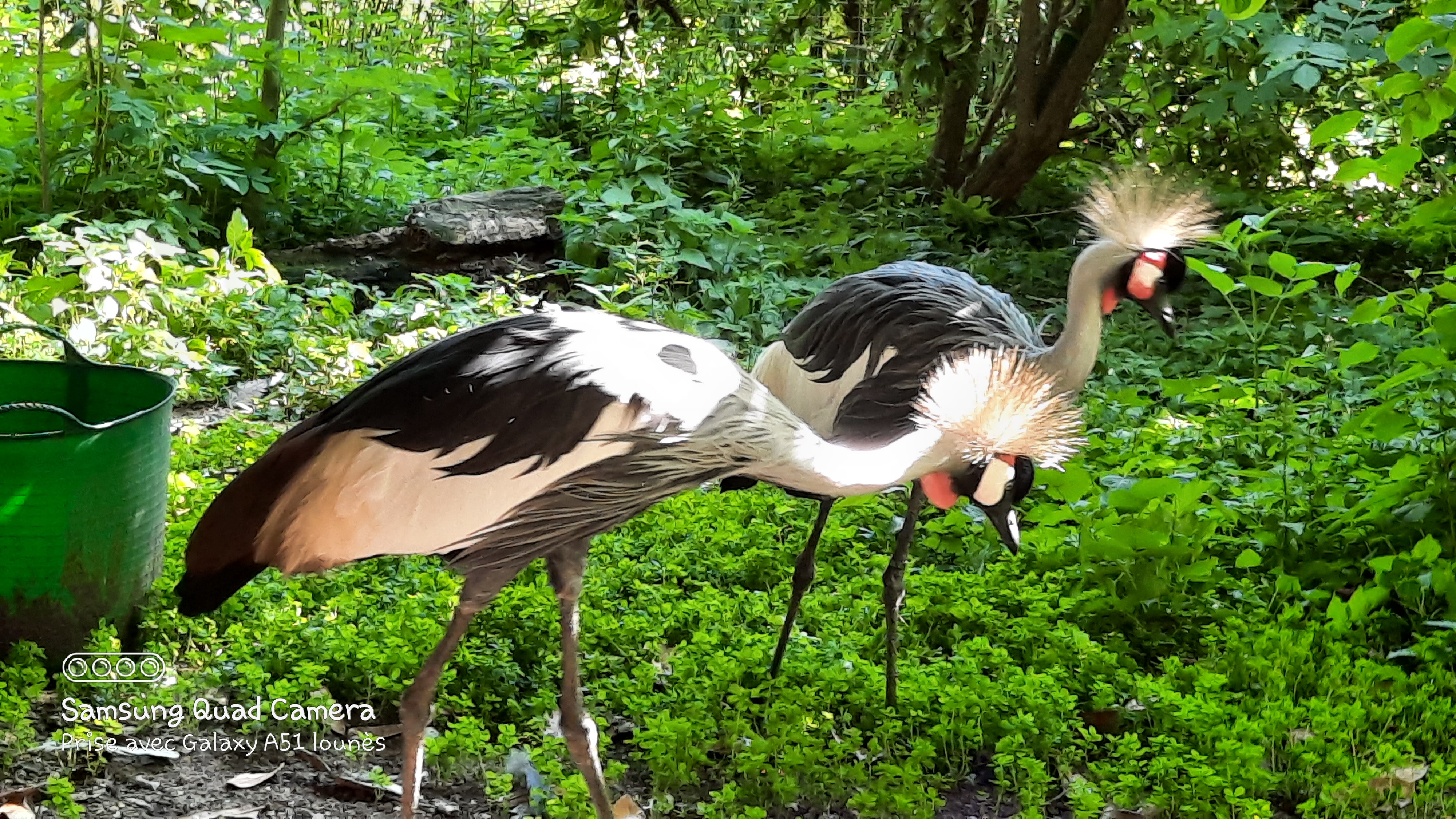 Photo n° 38 de l'avis de Lounes. fait le 02/06/2021 à 21:26