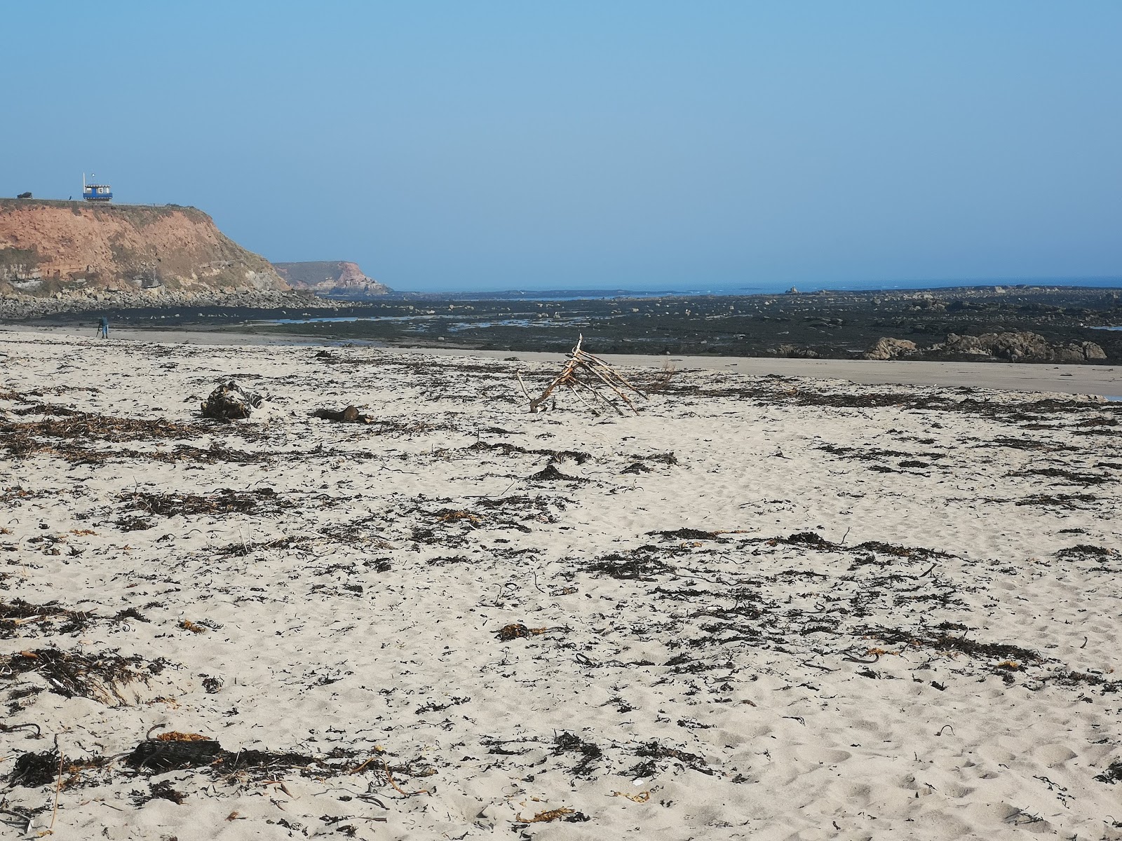 Spittal Beach'in fotoğrafı vahşi alan
