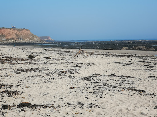 Spittal Beach