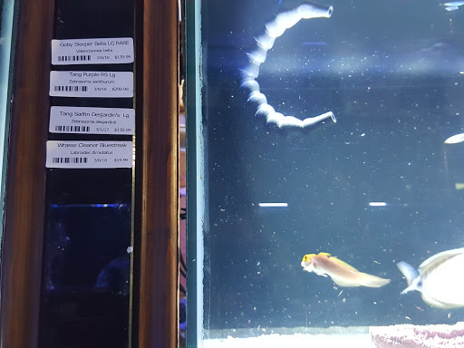 Tropical Fish Store «Beyond the Reef», reviews and photos, 205 W Golf Rd, Schaumburg, IL 60195, USA