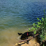 Photo n° 1 de l'avis de Patricia.a fait le 10/05/2018 à 23:48 pour Base nautique et de plein air de Messein à Messein