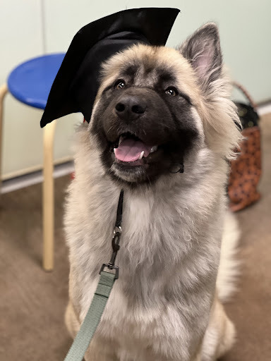 Pet Supply Store «PetSmart», reviews and photos, 7029 SW Nyberg St, Tualatin, OR 97062, USA