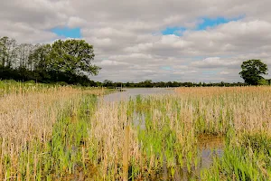 Marsh Lane Nature Reserve image