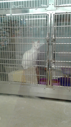 Pet Supply Store «PetSmart», reviews and photos, 250 Grossman Dr, Braintree, MA 02184, USA