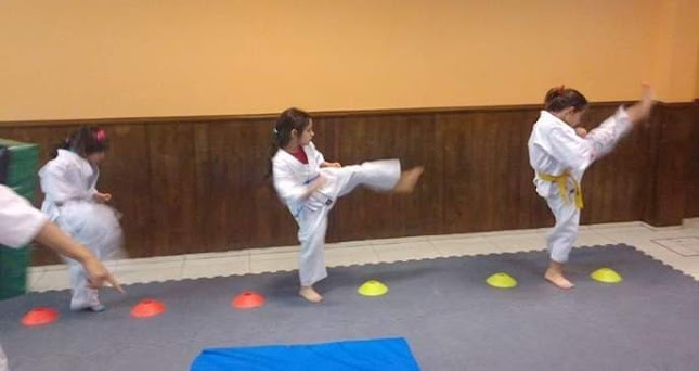 Comentarios y opiniones de Karate Uruguay