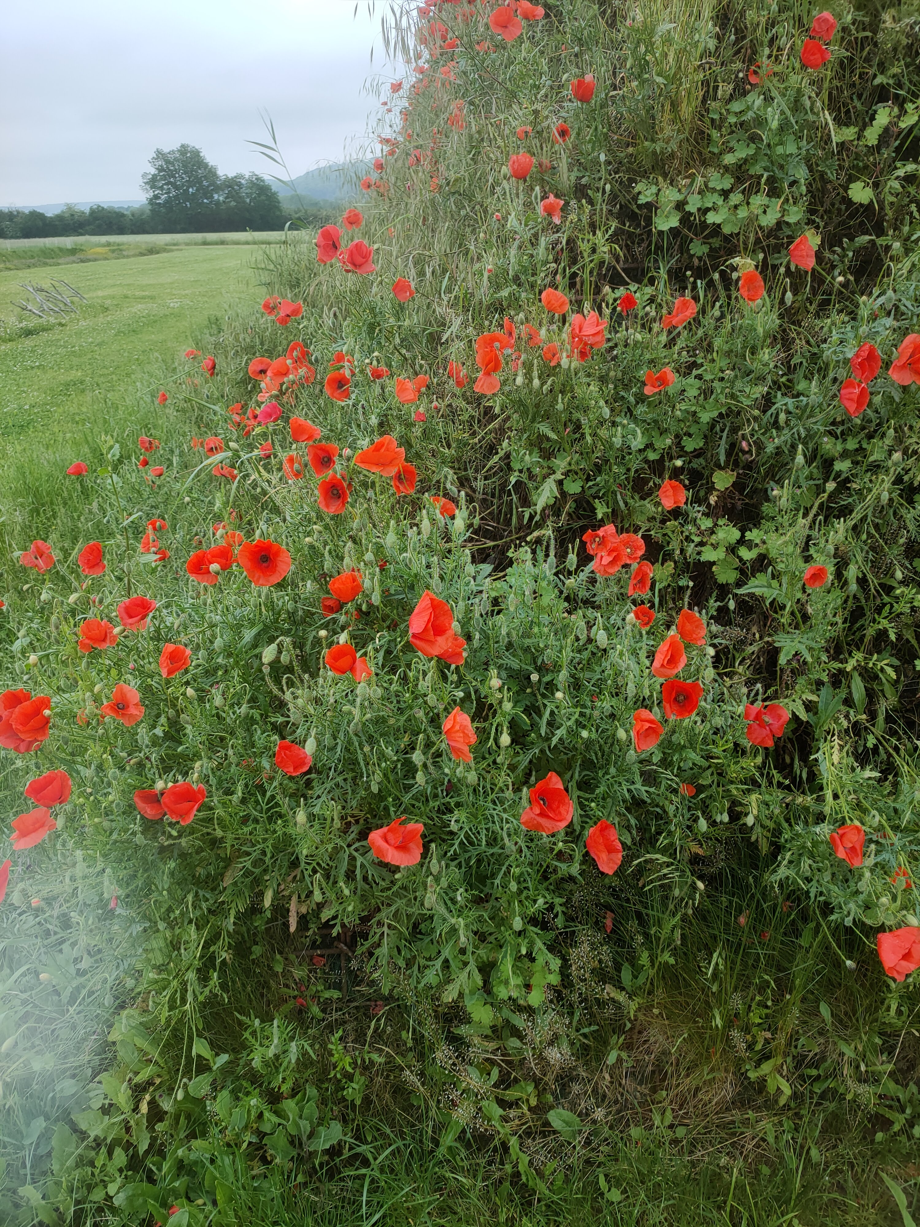 Photo n° 4 de l'avis de Nohoprima.t fait le 06/06/2021 à 18:27