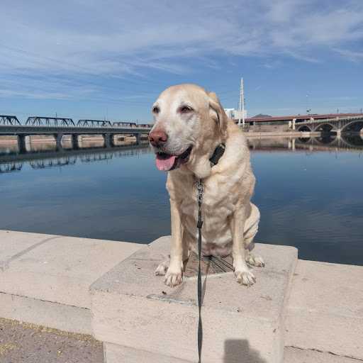 Park «Tempe Beach Park», reviews and photos, 80 W Rio Salado Pkwy, Tempe, AZ 85281, USA