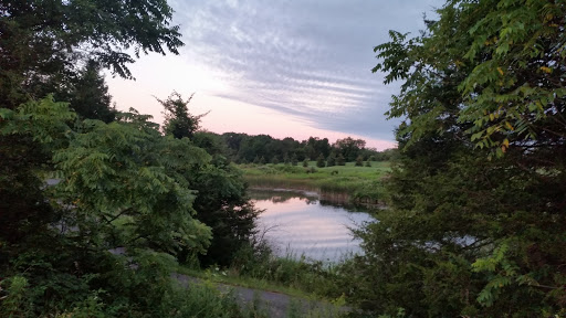 Golf Course «Moose Ridge Golf Course & Grille», reviews and photos, 11801 Doane Rd, South Lyon, MI 48178, USA