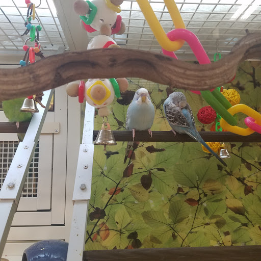 Pet Supply Store «PetSmart», reviews and photos, 8537 W Grand River Ave, Brighton, MI 48116, USA