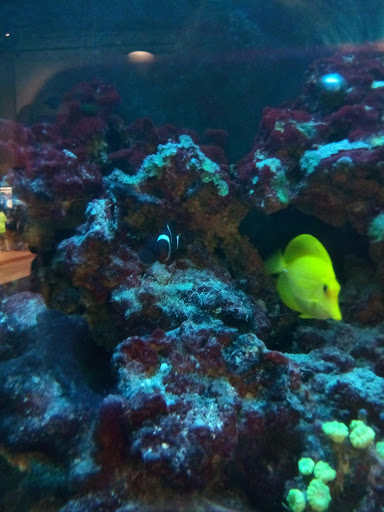 Movie Theater «NCG - Trillium Cinema», reviews and photos, 8220 Trillium Cir Ave, Grand Blanc, MI 48439, USA