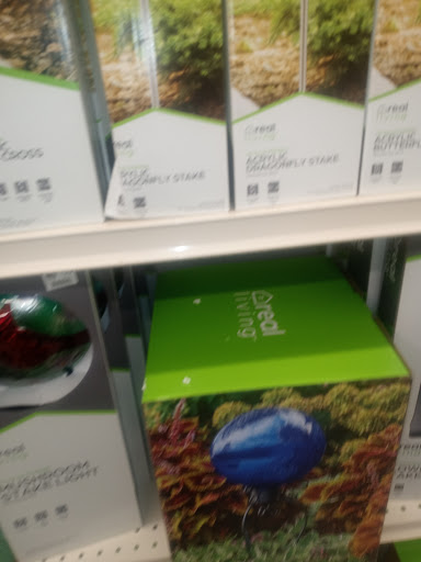 Discount Store «Big Lots», reviews and photos, 111 Racetrack Rd NW a, Fort Walton Beach, FL 32547, USA