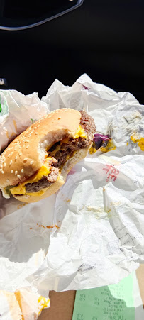 Cheeseburger du Restauration rapide McDonald's Bias - n°6