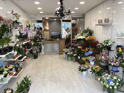 Fleurs et Plus à Saint-Germain-en-Laye