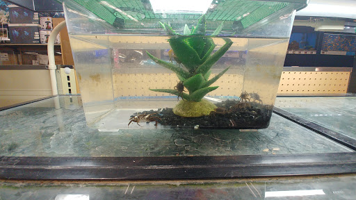 Pet Supply Store «Petco Animal Supplies», reviews and photos, 3100 14th St NW #124, Washington, DC 20010, USA