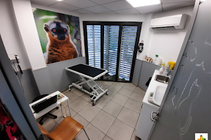 Hermes Veterinary Clinic image