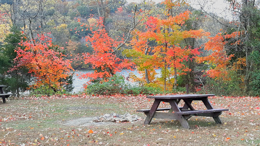 Park «Delaney Creek Park», reviews and photos, 8215 N Delaney Park Rd, Scottsburg, IN 47170, USA