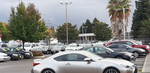 Team Volkswagen of Hayward image
