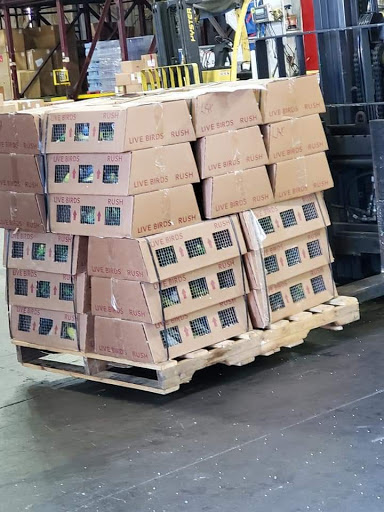 Pet Supply Store «Pet Care Inc.», reviews and photos, 2500 East Cesar E Chavez Avenue, Los Angeles, CA 90033, USA