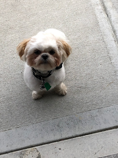 Pet Supply Store «PetSmart», reviews and photos, 2940 Chapel Hill Rd, Douglasville, GA 30135, USA