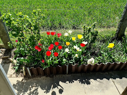 Obstgarten Binningen