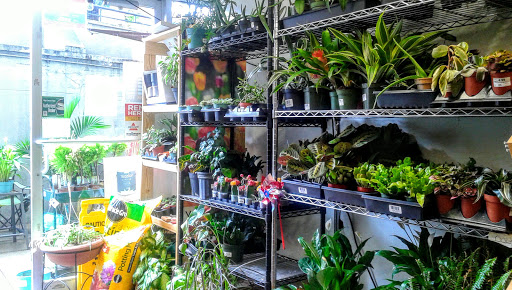 Hardware Store «Glover Park Ace Hardware», reviews and photos, 2233 Wisconsin Ave NW, Washington, DC 20007, USA