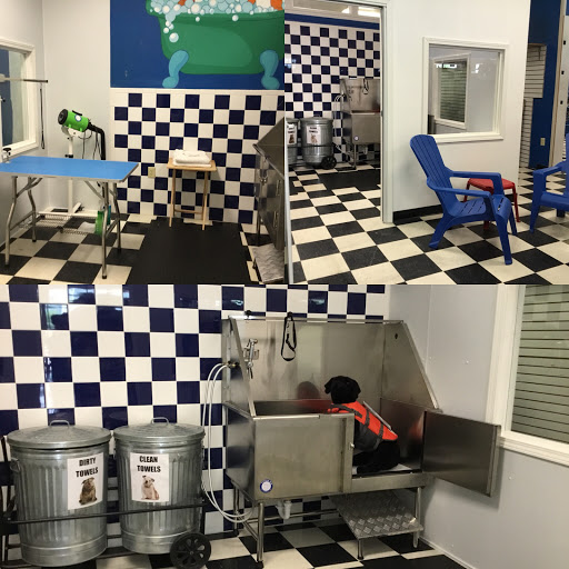 Pet Store «The Pet Place», reviews and photos, 240 Shadowline Dr, Boone, NC 28607, USA