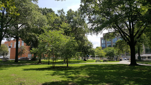 Park «Rufus King Park», reviews and photos, 150-29 Jamaica Ave, Jamaica, NY 11435, USA