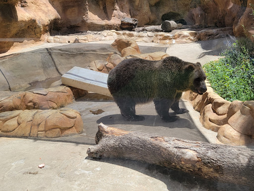 Zoo «Little Rock Zoo», reviews and photos, 1 Zoo Dr, Little Rock, AR 72205, USA