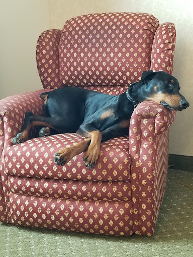 Pet Supply Store «Paws Stop», reviews and photos, 8909 Pendleton Pike, Indianapolis, IN 46226, USA