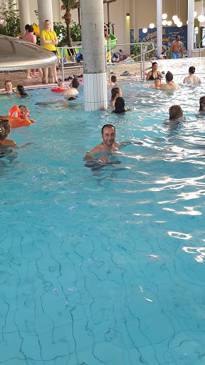 Swimming pool repair companies in Nuremberg