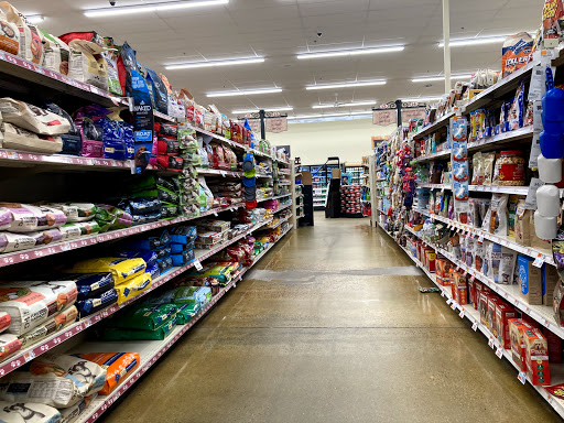 Supermarket «Big Y», reviews and photos, 533 S Broad St, Meriden, CT 06450, USA