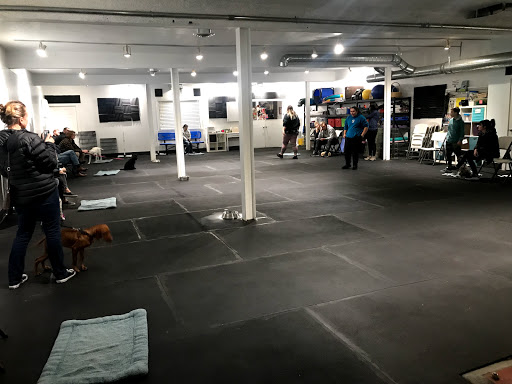 Dog Trainer «Calling All Dogs», reviews and photos, 6088 S Highland Dr, Holladay, UT 84121, USA