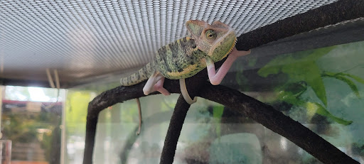 Pet Supply Store «PetSmart», reviews and photos, 1705 Mall of Georgia Blvd, Buford, GA 30519, USA