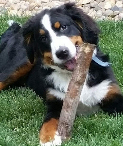 9797 W Colfax Ave, Lakewood, CO 80215, USA