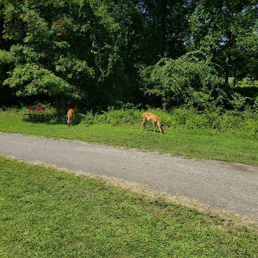 Golf Course «Gunpowder Golf Course», reviews and photos, 14300 Old Gunpowder Rd, Laurel, MD 20707, USA