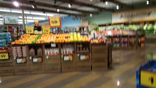 Grocery Store «Food Lion», reviews and photos, 620 Market St, North Tazewell, VA 24630, USA