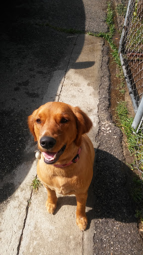 Pet Store «Super Pets», reviews and photos, 9403 E Las Tunas Dr, Temple City, CA 91780, USA