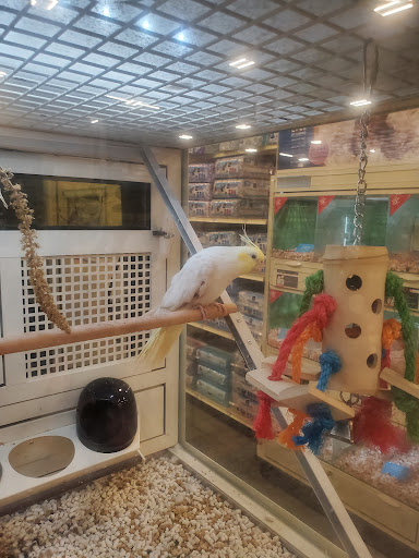 Pet Supply Store «PetSmart», reviews and photos, 1115 Vidina Pl, Oviedo, FL 32765, USA