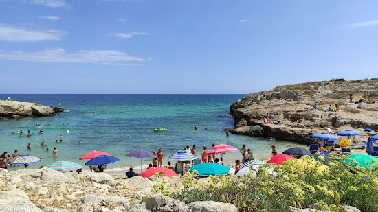 Lido Colonia