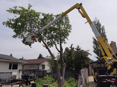 Hyer-Up Tree Service
