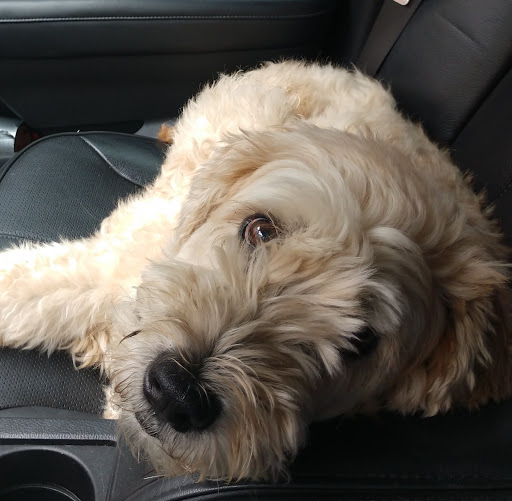 Real Estate Agents «Re/Max: Cassandra Bailey», reviews and photos, 8415 Progress Drive, Frederick, MD 21701, USA