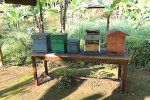 'Kaadumane' Honey Park image
