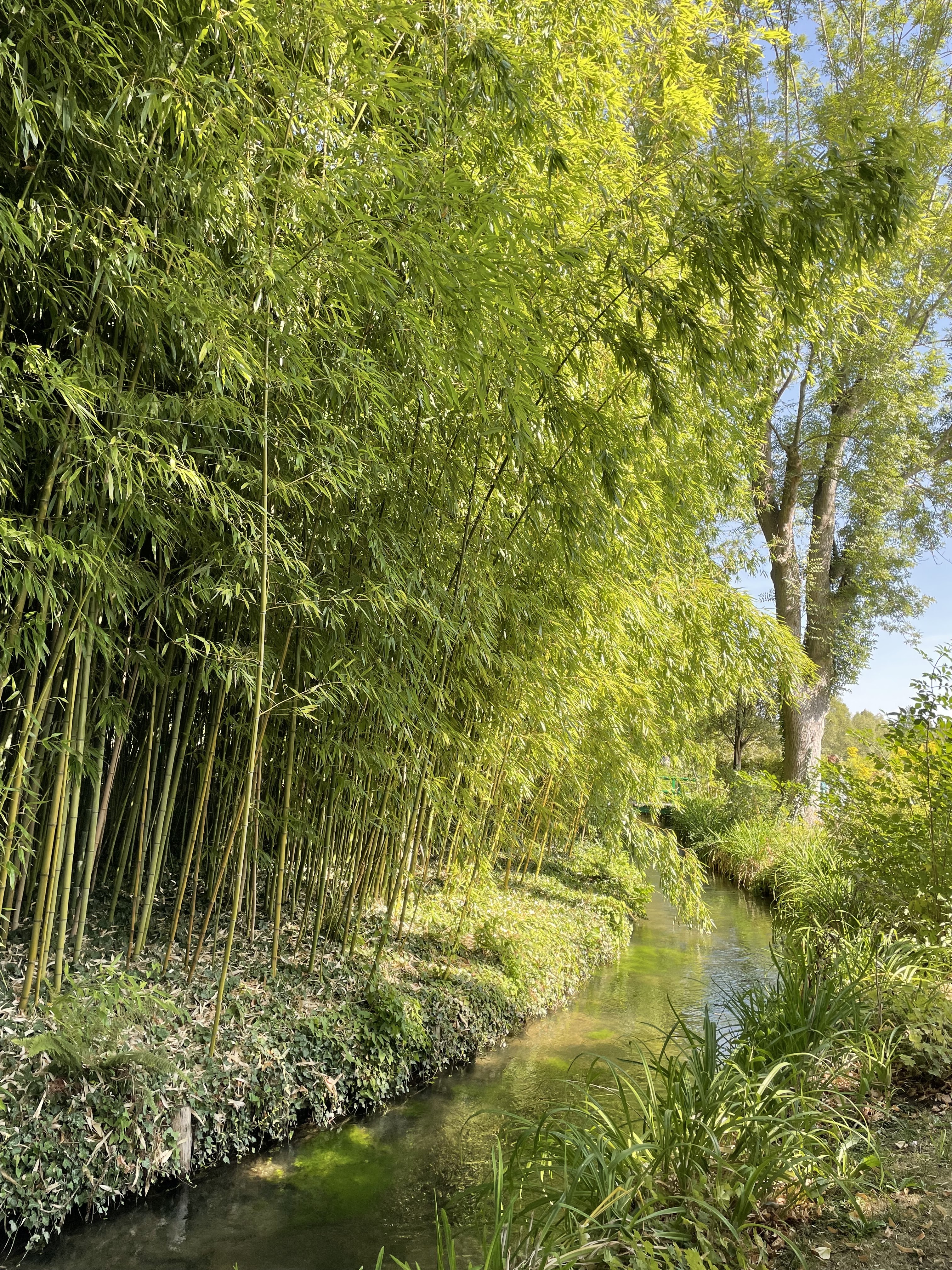 Photo n° 1 de l'avis de Raphaëlle.. fait le 02/09/2022 à 11:04